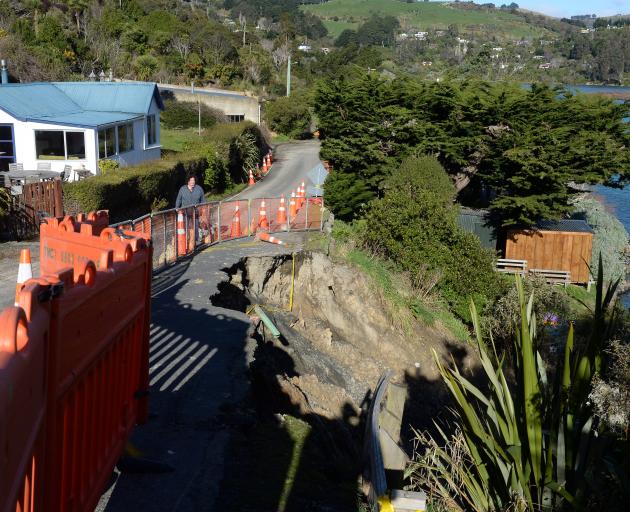 Purakaunui crib owner Ainslie Idler and her dog Beau venture past a major slip on Bay Rd. PHOTO:...