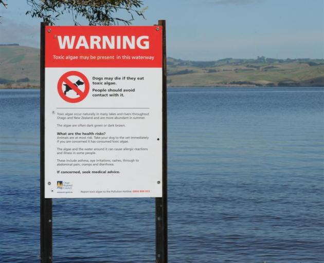 It's the second time this year a warning has been issued for Lake Waihola. Photo: ODT