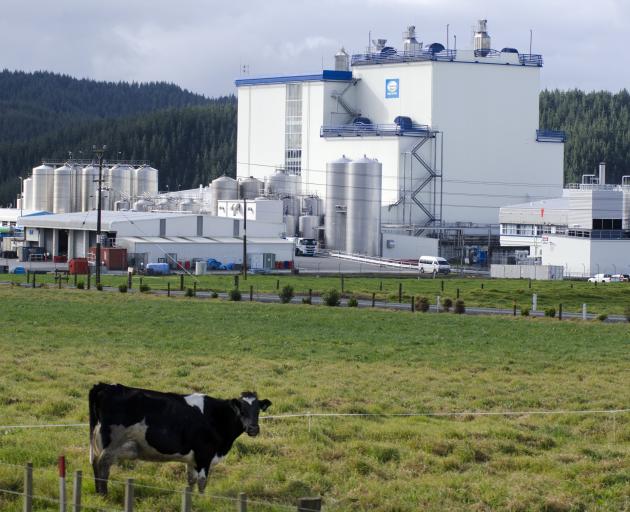 Making milk powder is a carbon-intensive process. Photo: Getty Images