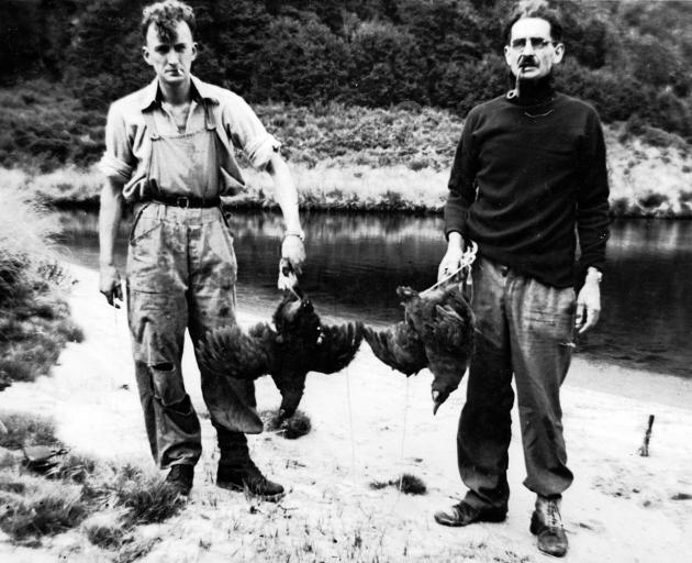 Geoffrey Orbell and Neil McCrostie with a takahe on November 20, 1948 - the day of its...