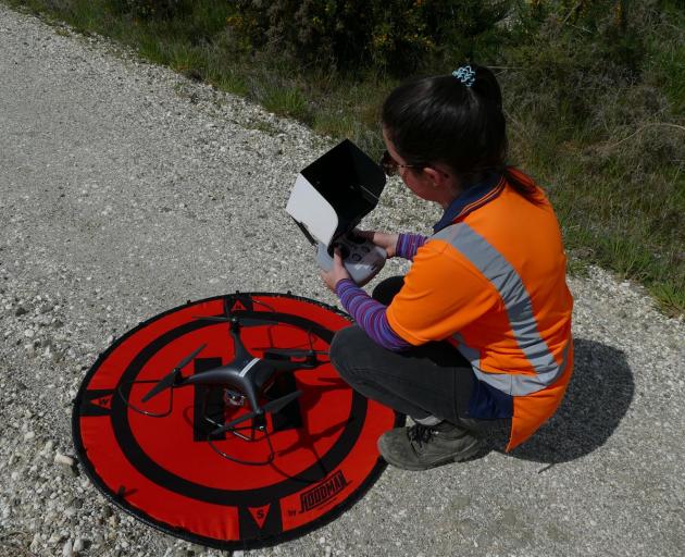 Acacia Farmery readies her drone with its camera to fly over the recently planted stand of pines at Pebbly Hill Forest. Photos: Ken Muir