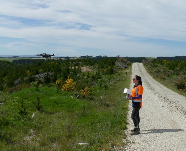 Acacia Farmery prepares for a sweep over a stand of recently planted trees at Prebbly Hill Forest for a birds' eye view of the health of the new trees.