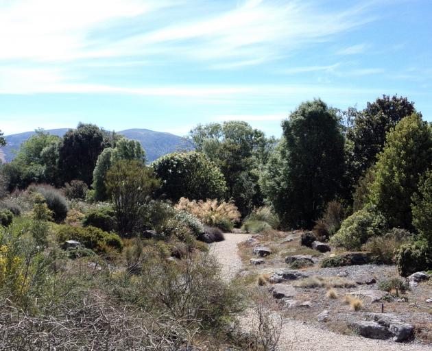 The alpine scree garden at Dunedin Botanic Garden. Photo: Supplied 