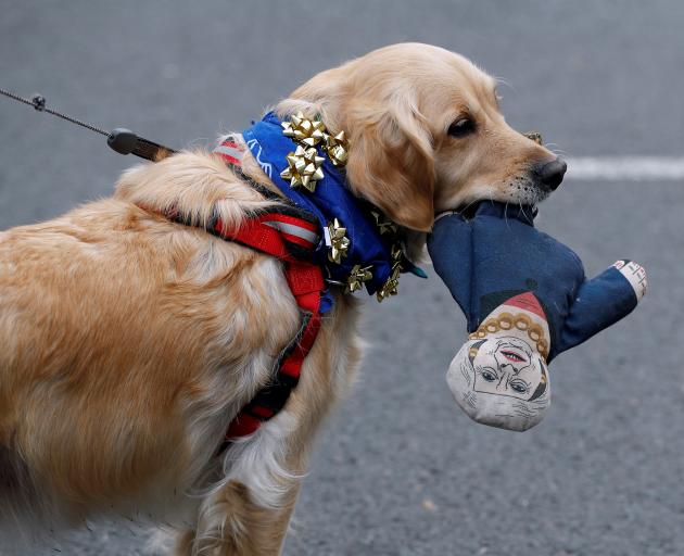 A dog holds a doll depicting Britain's Prime Minister Theresa May as EU supporters, calling on...