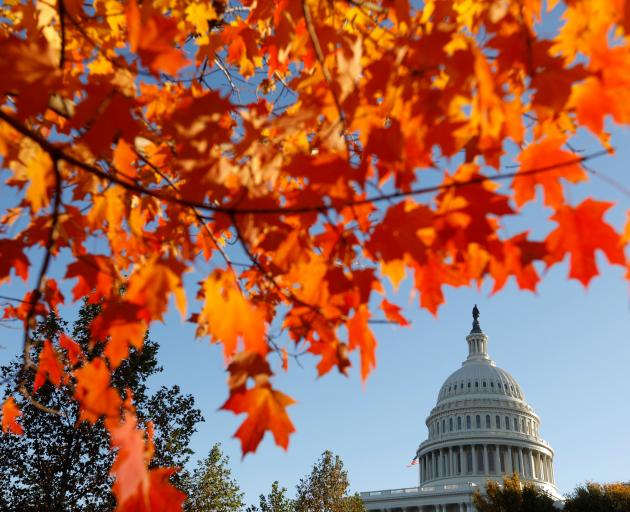 US Capitol seen through autumn leaves in Washington DC. Photo: Reuters