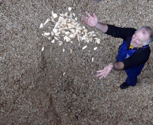 University of Otago maintenance manager Phil Scorringe among woodchips used for Carrington...