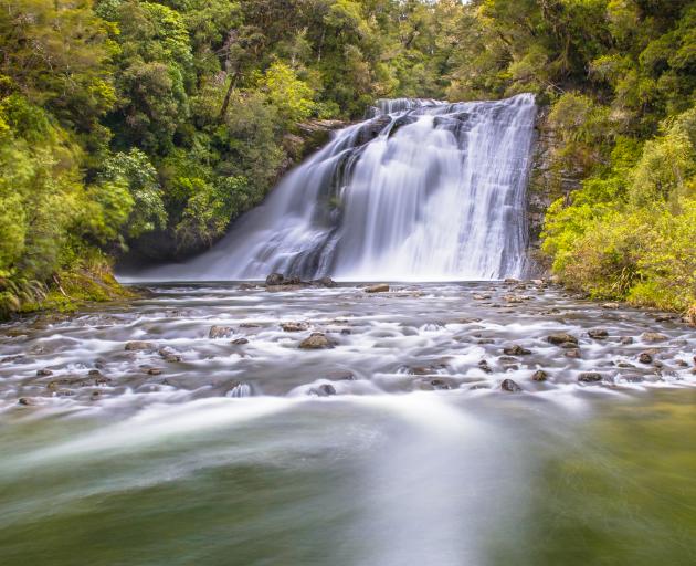 Te Urewera National Park. Photo: Getty Images 