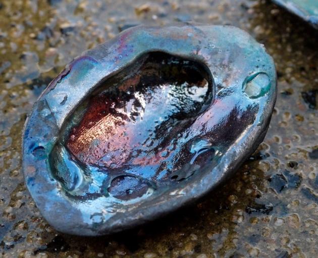 A paua shell from the Shell Exchange installation referencing ocean acidification. 