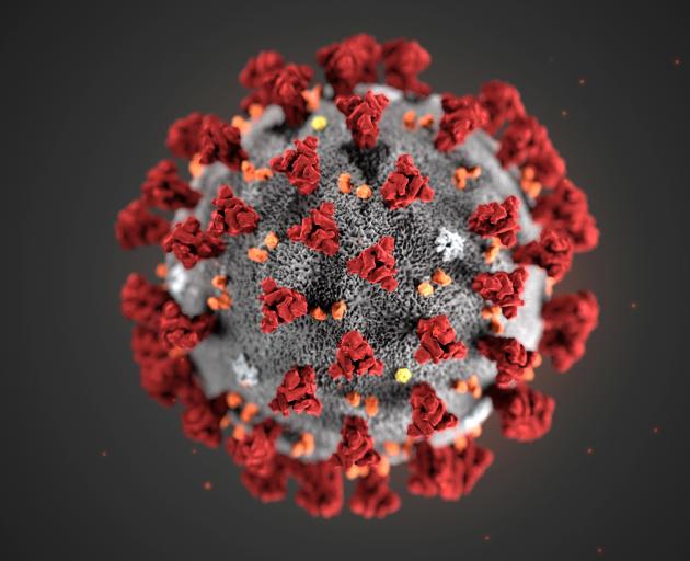 The corona virus is seen in an illustration released by the Centers for Disease Control and...