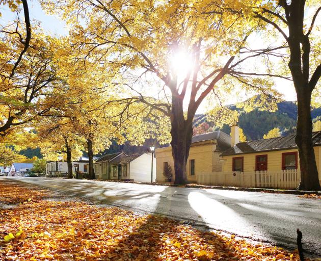 Arrowtown displays its autumnal grandeur. PHOTO: TRACEY ROXBURGH
