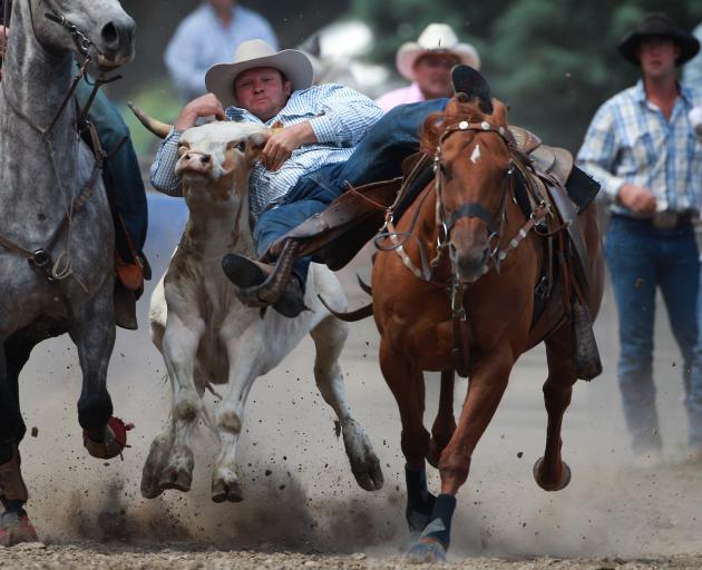 Greg Lamb in action during the open steer wrestling at the Millers Flat rodeo in 2011. PHOTO:...