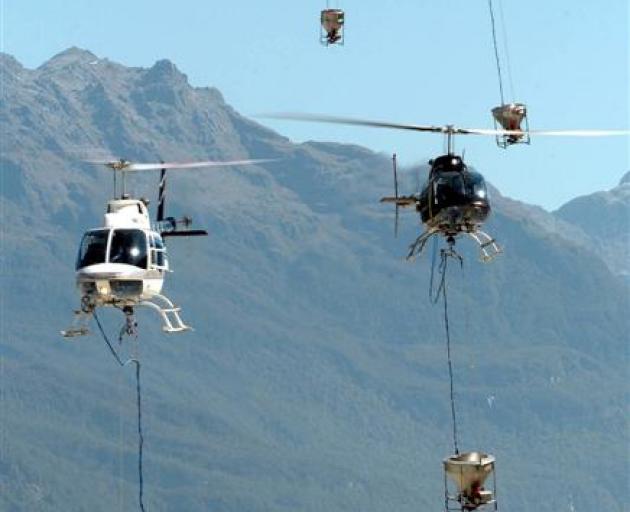 Helicopters arrive to be loaded with 1080 cereal bait to be spread in the Arawhata Valley, South...