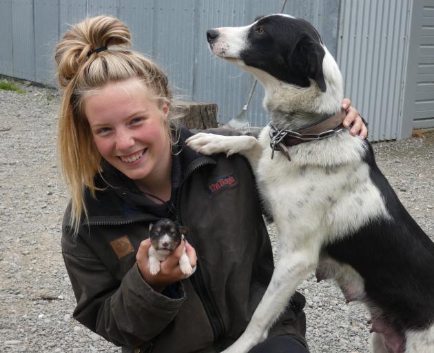 Zoe Bain is a natural with all the animals at her grandparents’ Canterbury farm, Broadlands....