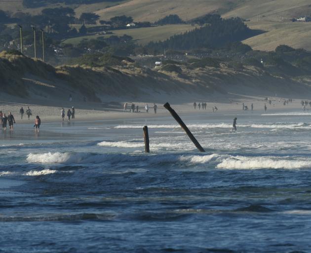 Early this month there were two groyne poles off St Clair Beach. Now there is only one left....