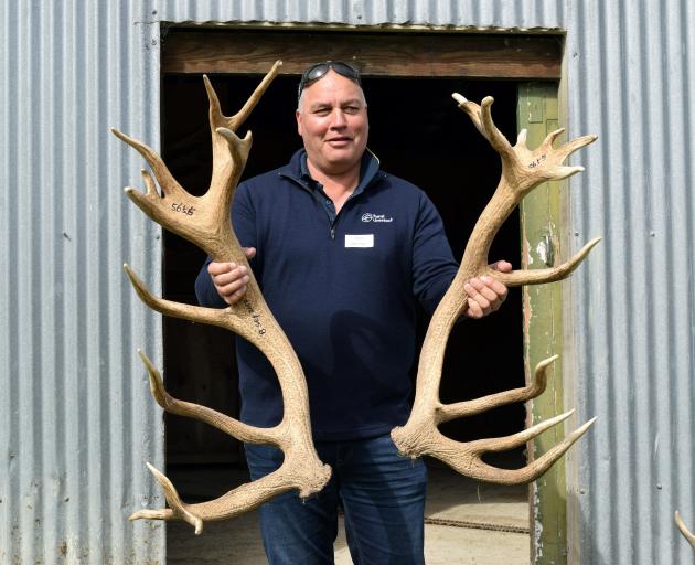 Former Invermay Agricultural Centre deer farm manager Adam Whaanga inspects some cloned deer...
