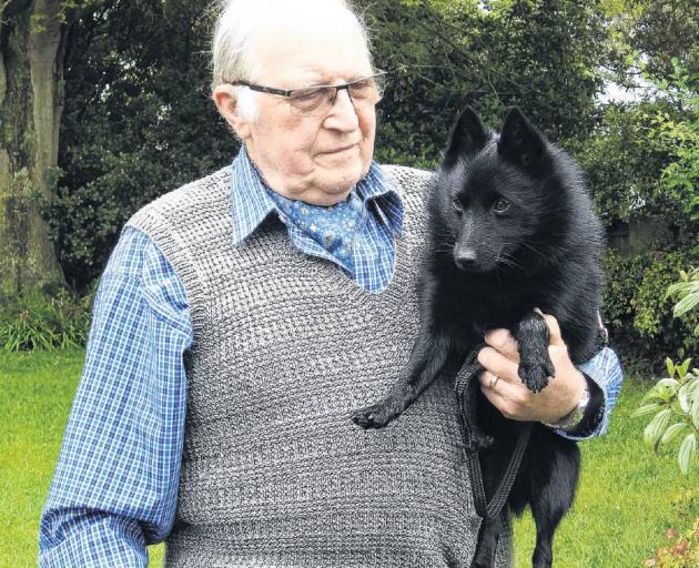 Relieved . . . Bernard Fears with Teddy, a Schipperkes, who was found safe and well after going...