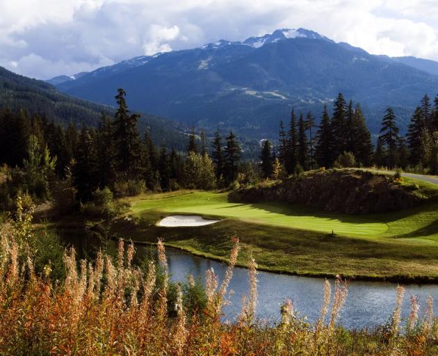 Chateau Whistler, a Trent Jones jun classic carved out of Blackcomb Mountain. 