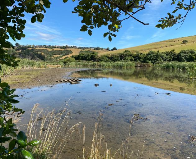 Mud and debris is exposed due to the lagoon’s low water level this week.