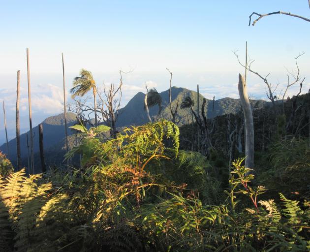 Dawn in the Sant Maria Mountain.