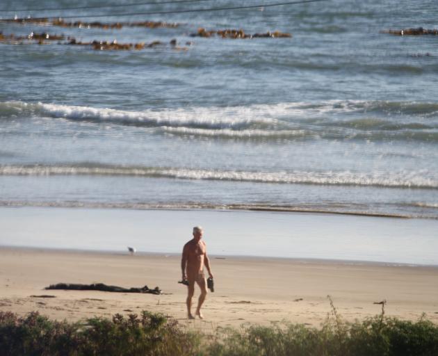 Free Beach Party Topless - Complaints about naturist's nude beach walks | Otago Daily Times Online News