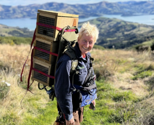 Karin Bos and Nightshade the dog are helping eradicate hedgehogs from the Kaitōrete Spit, Banks...