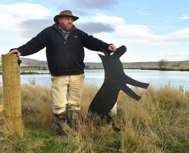 Farmer Drew Dundass with a geese-deterring coyote silhouette. PHOTO: STEPHEN JAQUIERY