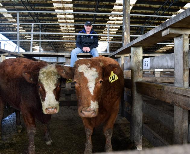 Bob Sinclair, of Owaka, and his Angus-Simmental heifer (right) which won the 220kg-270kg category...