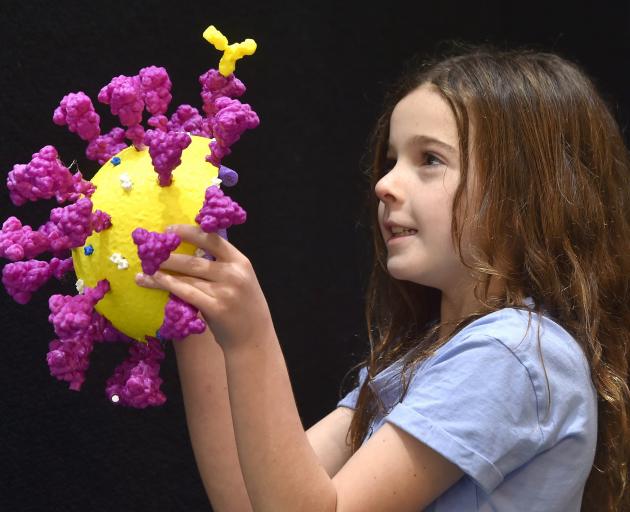 Isla Grant (9), of Dunedin, holds a Coronavirus purple spike proteins.