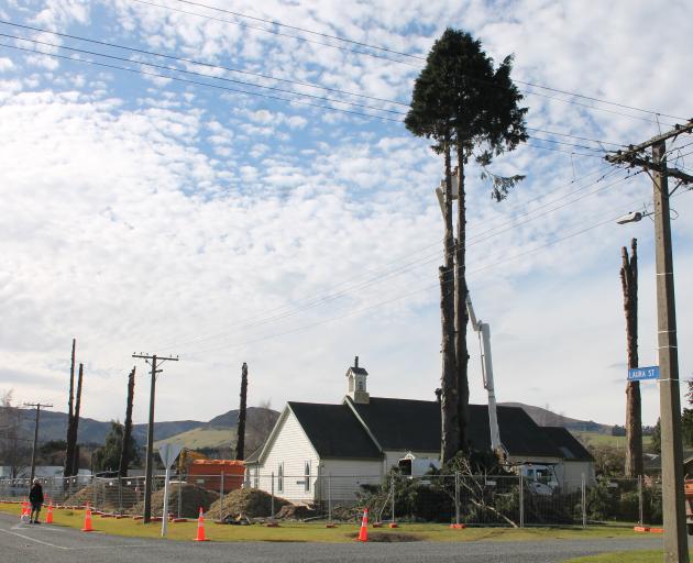 Workers continue removing branches from one of the Lawson cypresses being felled on the grounds...