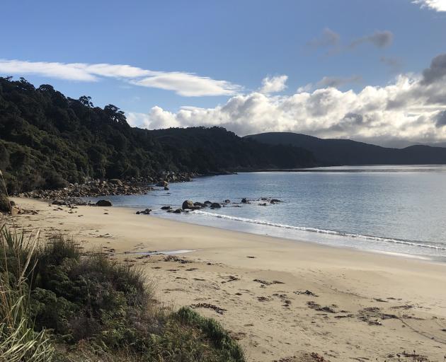 Rakiura/Stewart Island. File photo: ODT