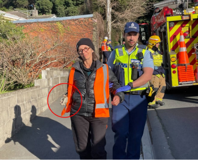 Restore Passenger Rail protester Rosemary Penwarden is arrested. Photo: NZ Herald