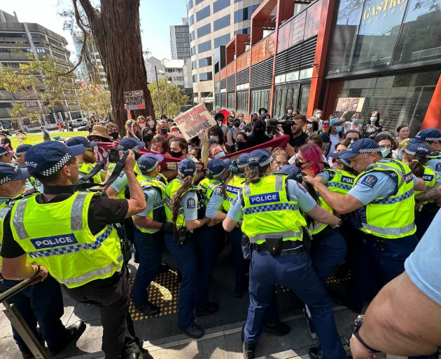 Police control a crowd at a rally in Auckland's St Patrick's Square. Photo / Jason Oxenham