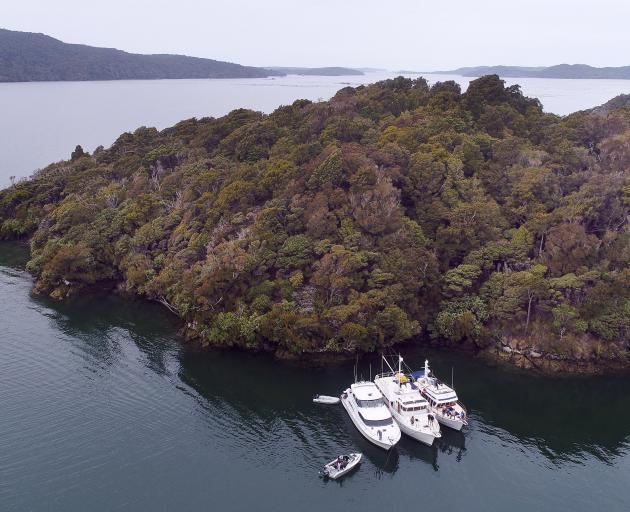 Sanford has salmon farms and mussel farms on Big Glory Bay.