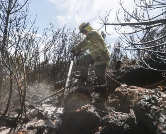 Firefighters are working to create a 50-metre containment line and dampen down hotspots. Photo:...