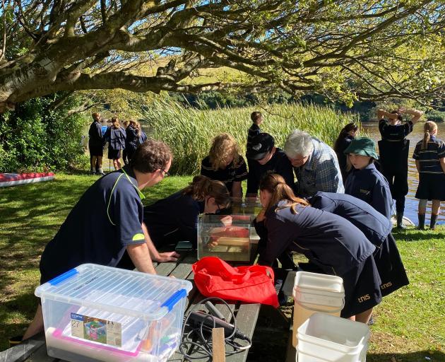 Even a small amount of water from Tomahawk Lagoon is teeming with life, as local school pupils...