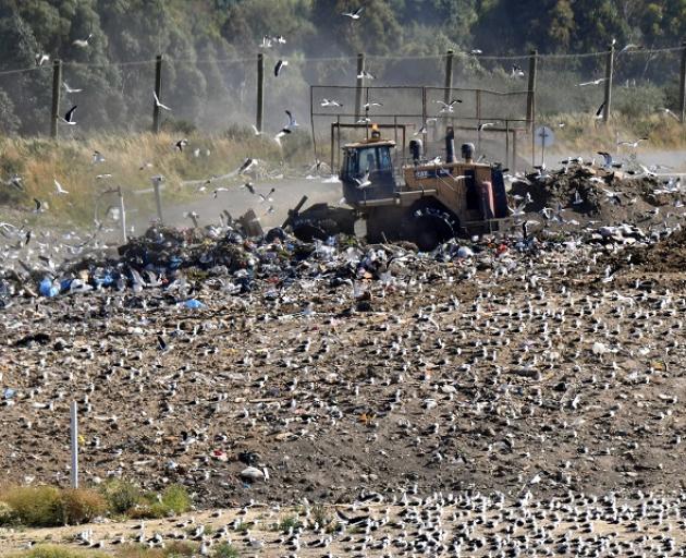 Black backed gulls fly as rubbish is bulldozed at the Green Island landfill tip face in Dunedin...
