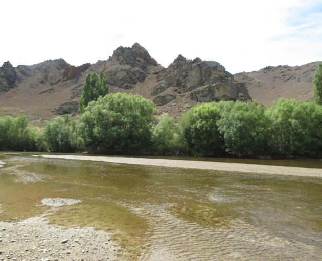 A low-flowing Manuherikia River, at Alexandra, on Friday January 12, 2024. PHOTO: ODT FILES