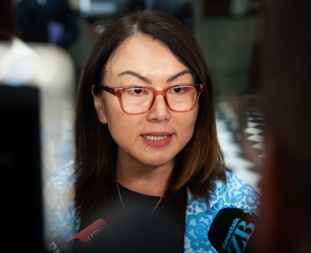 Media and Communications Minister Melissa Lee. Photo: RNZ