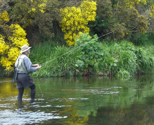 Otago Daily Times angling columnist Mike Weddell on the Waipahi River. Photo: Supplied 