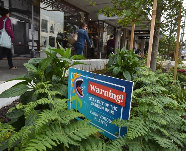 A sign in George St, Dunedin, warns people to stay out of garden beds because of "carnivorous...