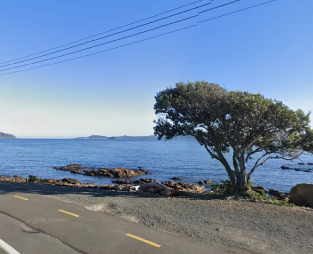 Māhina Bay, Wellington Region. Photo: Google Maps