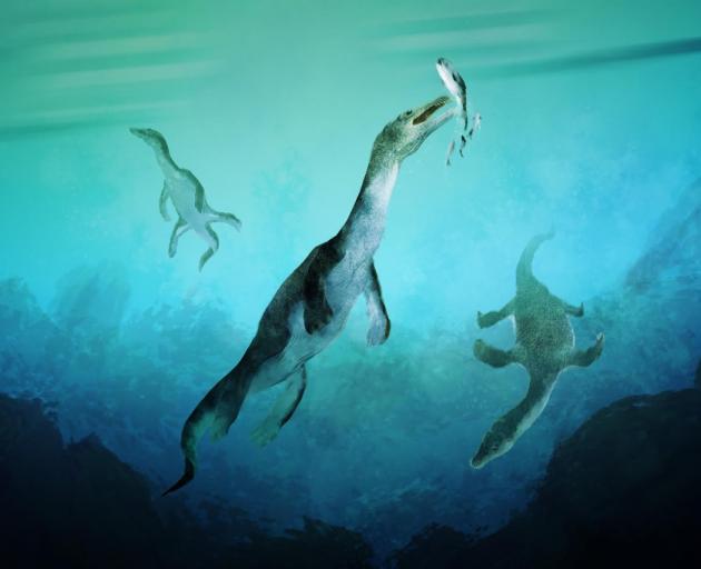 An artist's impression of a nothosaur. Artwork: Stavros Kundromichalis / Image: Supplied by GNS...