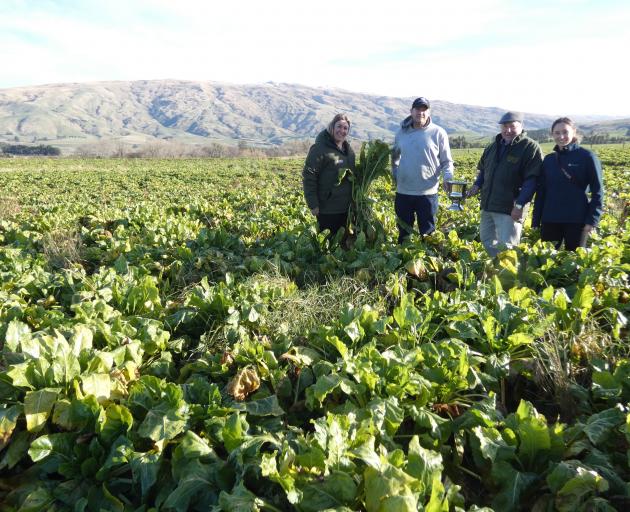 In the winner crop in this year's Roxburgh and District's Lions Club winter feed competition are,...