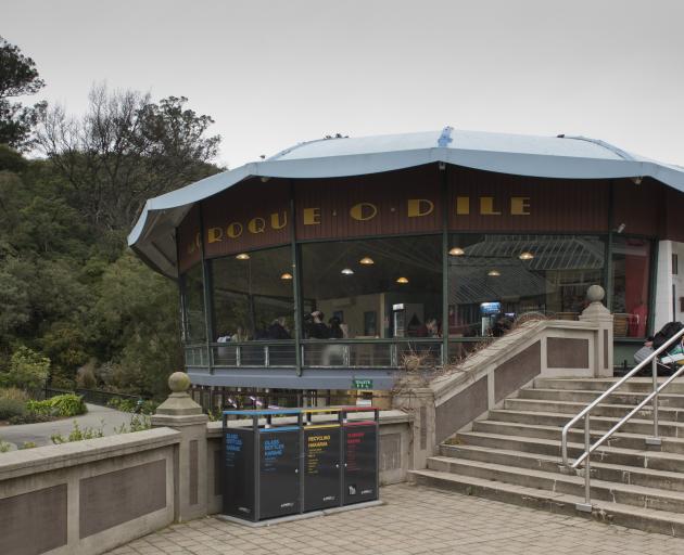Plans to revamp the Dunedin Botanic Garden, including the cafe, could go out for public comment...