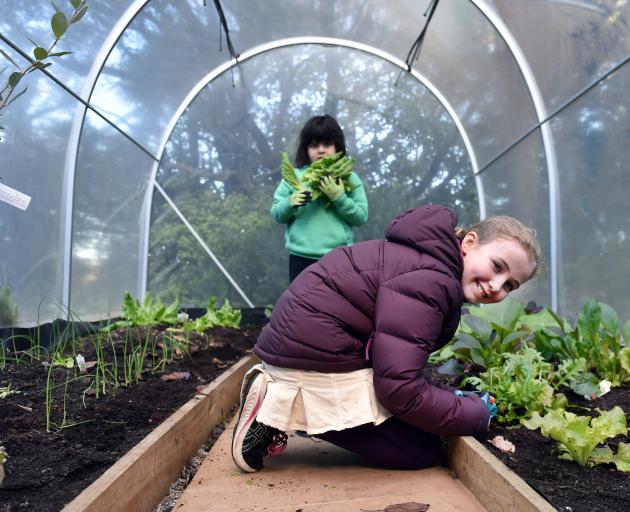 Opoho School pupils Summer Dytkowska, 9 (front), and Niko Jimenez-Cunninghame, 7, collect...