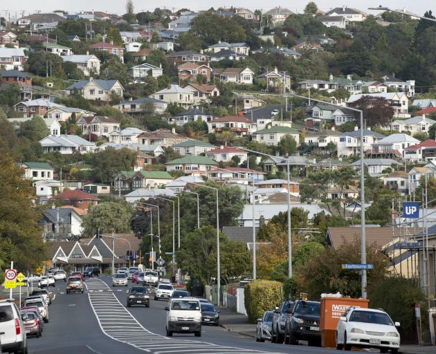 Much of Dunedin's housing stock could find itself covered by new guidelines about lead based...