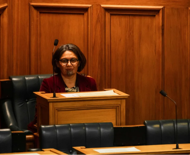 Darleen Tana returned to Parliament on Tuesday. Photo: RNZ