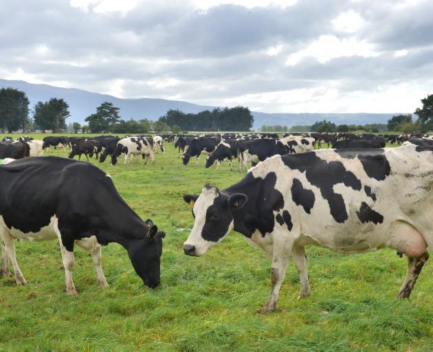 Southland had relatively favourable farming conditions, and the strongest housing and...