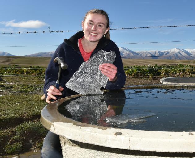 Naseby farmer Teea Francis cracks some ice on a trough yesterday. PHOTO: GREGOR RICHARDSON