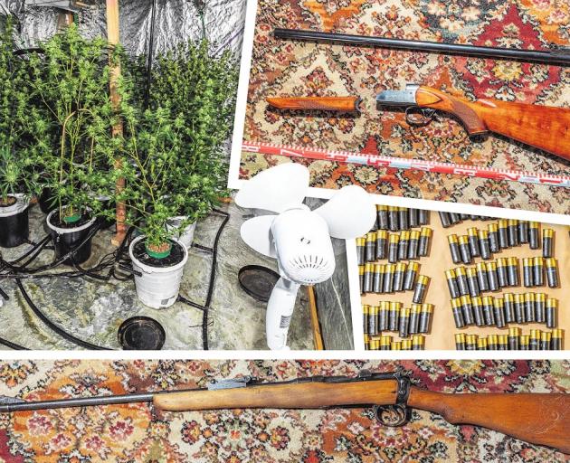 Forty-four cannabis plants were discovered at a Mataura property, along with firearms and...